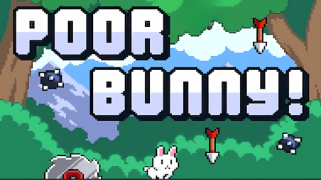 Poor Bunny