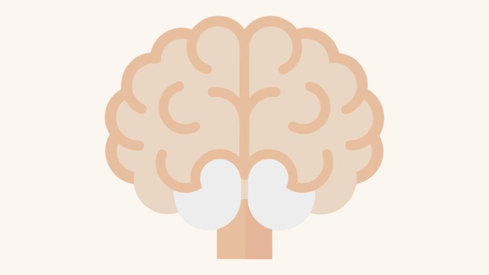 brain-games-play-online-games-playtropolis